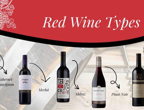 Red Wine Types – All you need to know